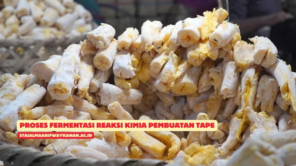 Reaksi-Kimia-Pembuatan-Tape